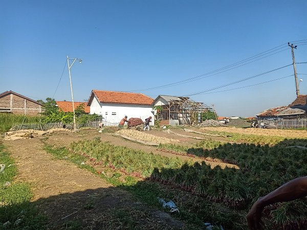 KUMPULAN CERMIN (CERITA MINI) KANG THOHIR-BREBES kptohir.png