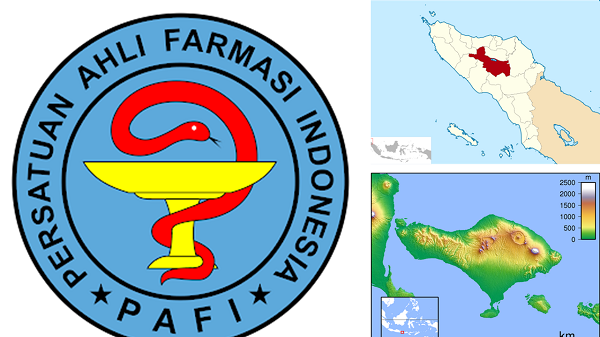 PAFI Aceh Tengah dan PAFI Prov Bali Proaktif Sebagai Mitra Pemerintah Daerah